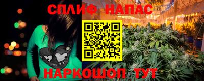 гашик Нальчик
